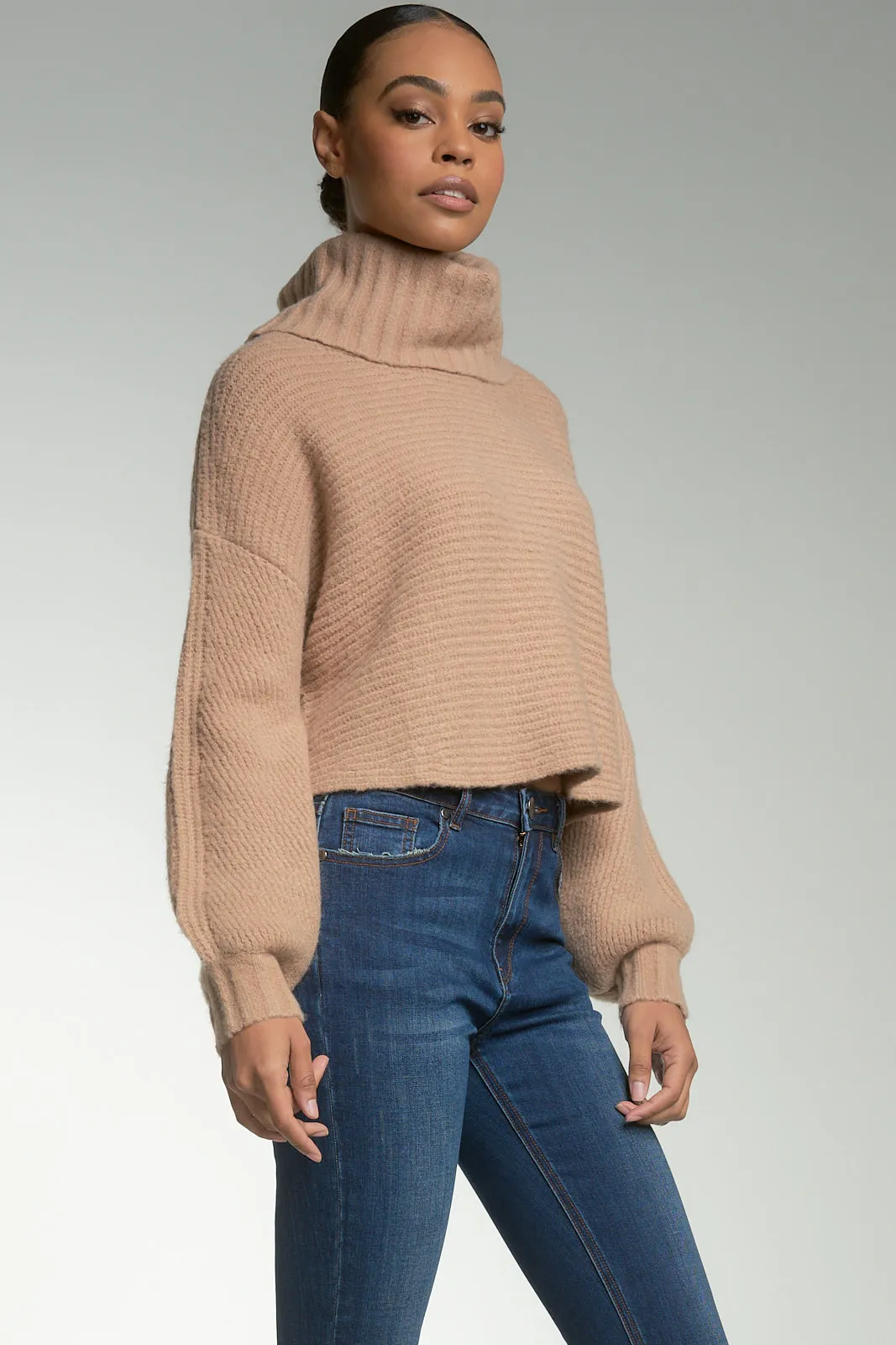 Camel Cropped Crossback Turtleneck Sweater