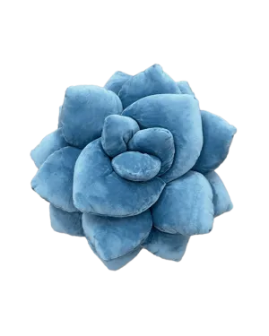 Lil' Pop Succulent® - Smokey Blue